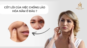 Cốt Lõi Chống Lão Hóa Da Nằm Ở Đâu - Có Phải Ma Trận Ngoại Bào?