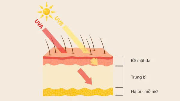 Khả năng bảo vệ da của kem chống nắng giảm dần theo thời gian