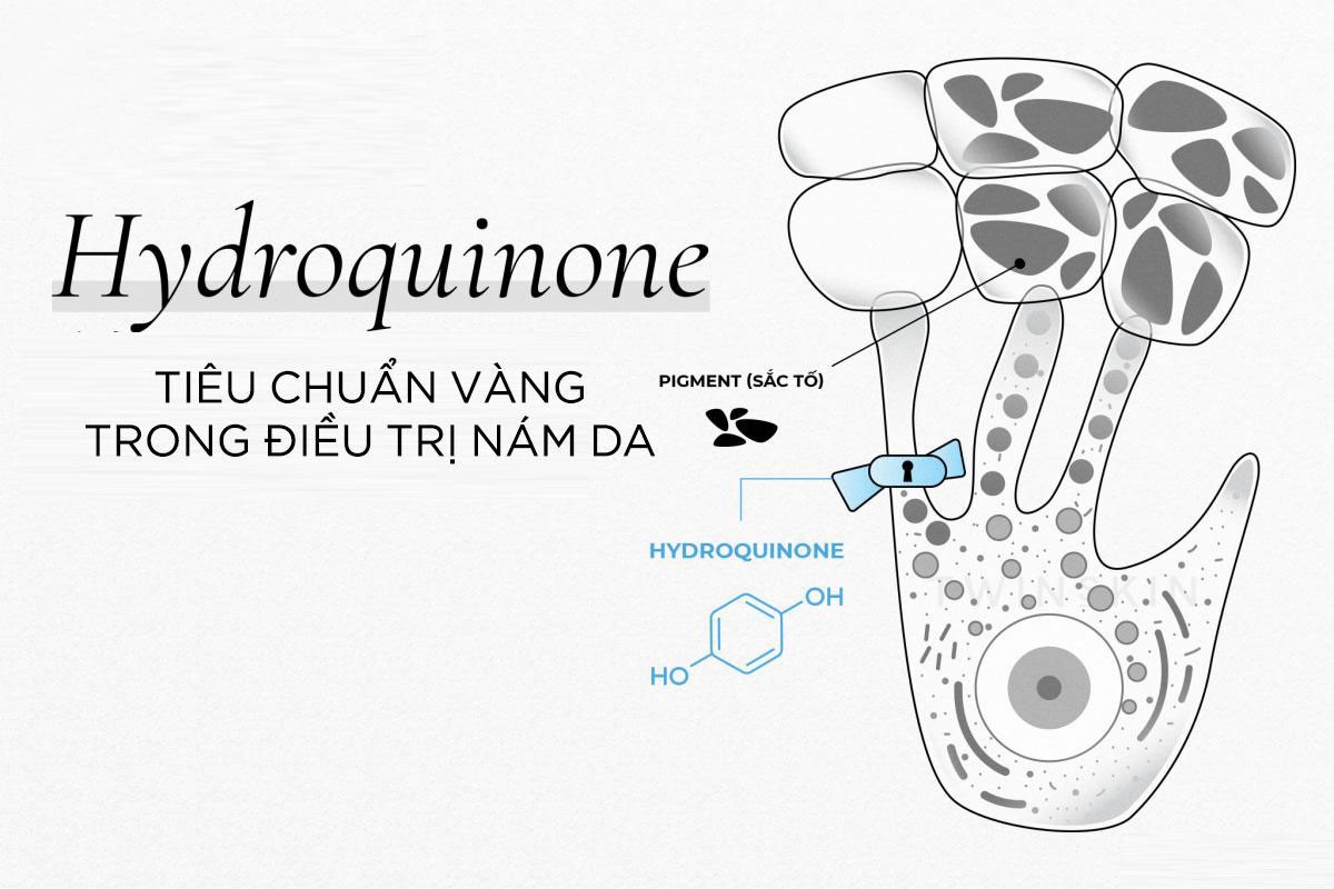 Hydroquinone là gì